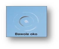 bawole oko - Klejenie szyb samochodowych
